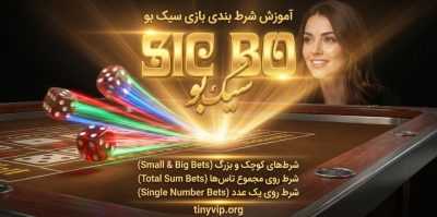 استراتژی‌ های کم‌ ریسک برای برد شرط‌ بندی سیک بو | چگونه بیشترین سود را کسب کنیم؟
